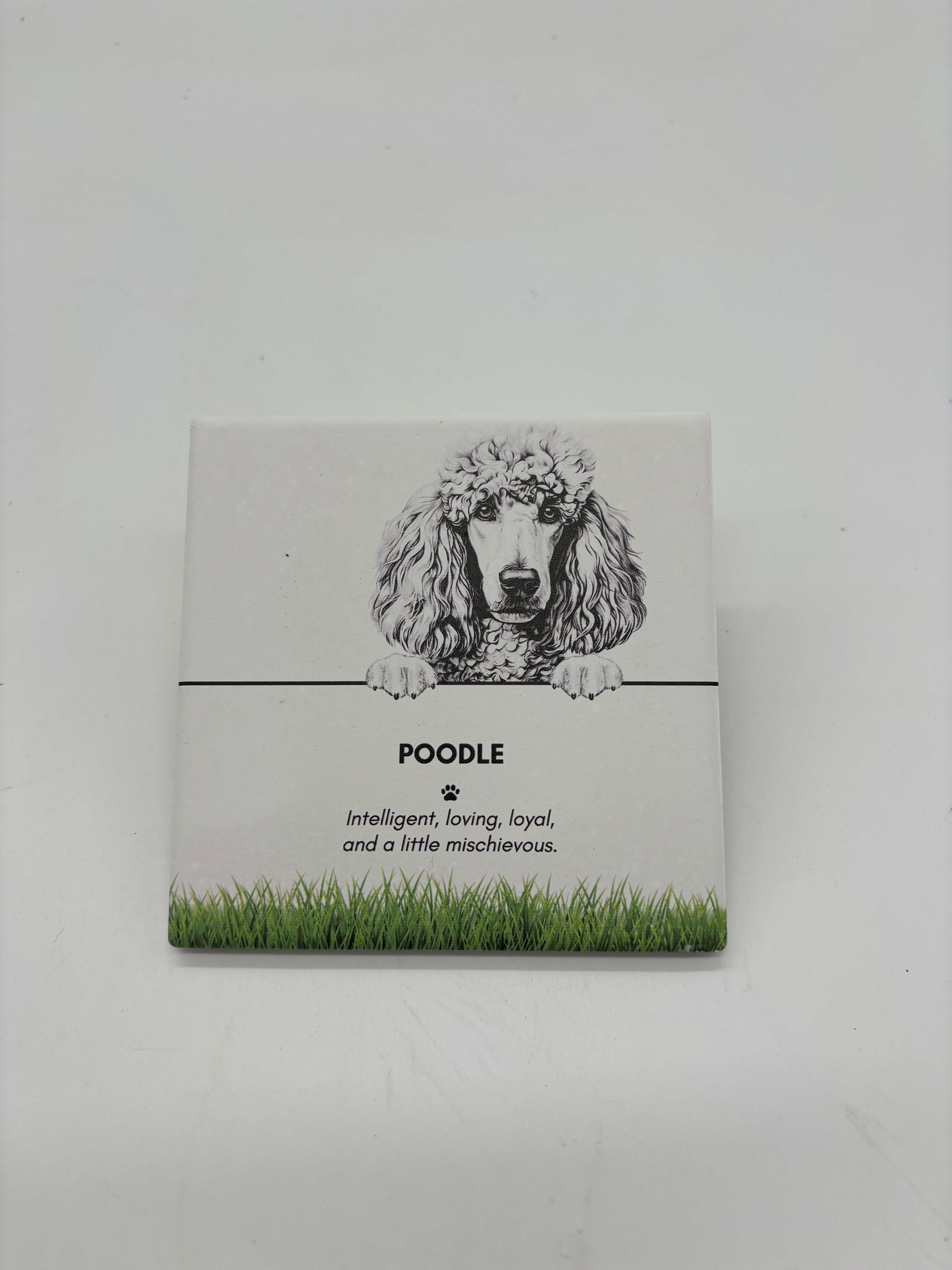 PET COASTER - Poodle