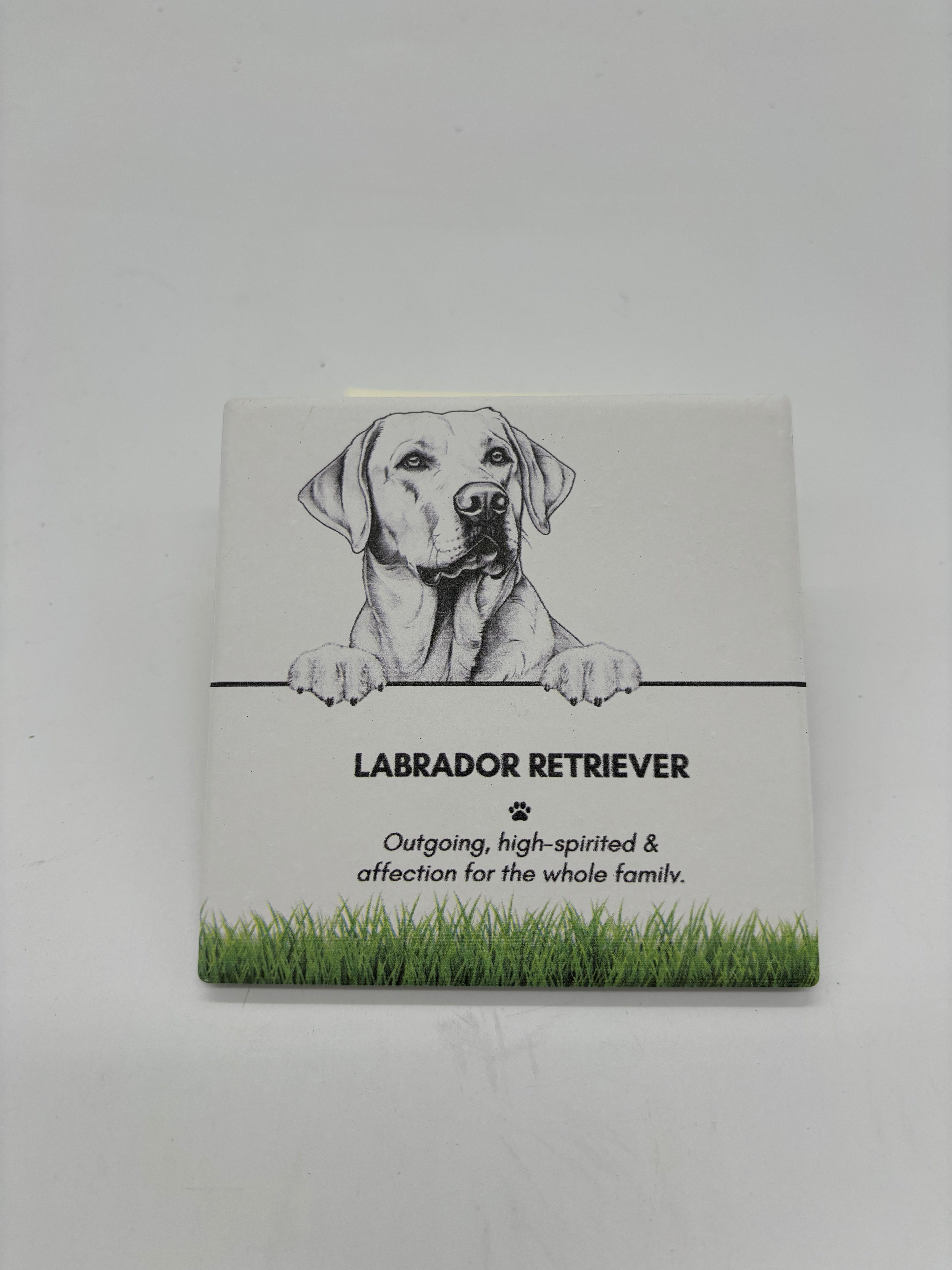 PET COASTER - Labrador Retriever