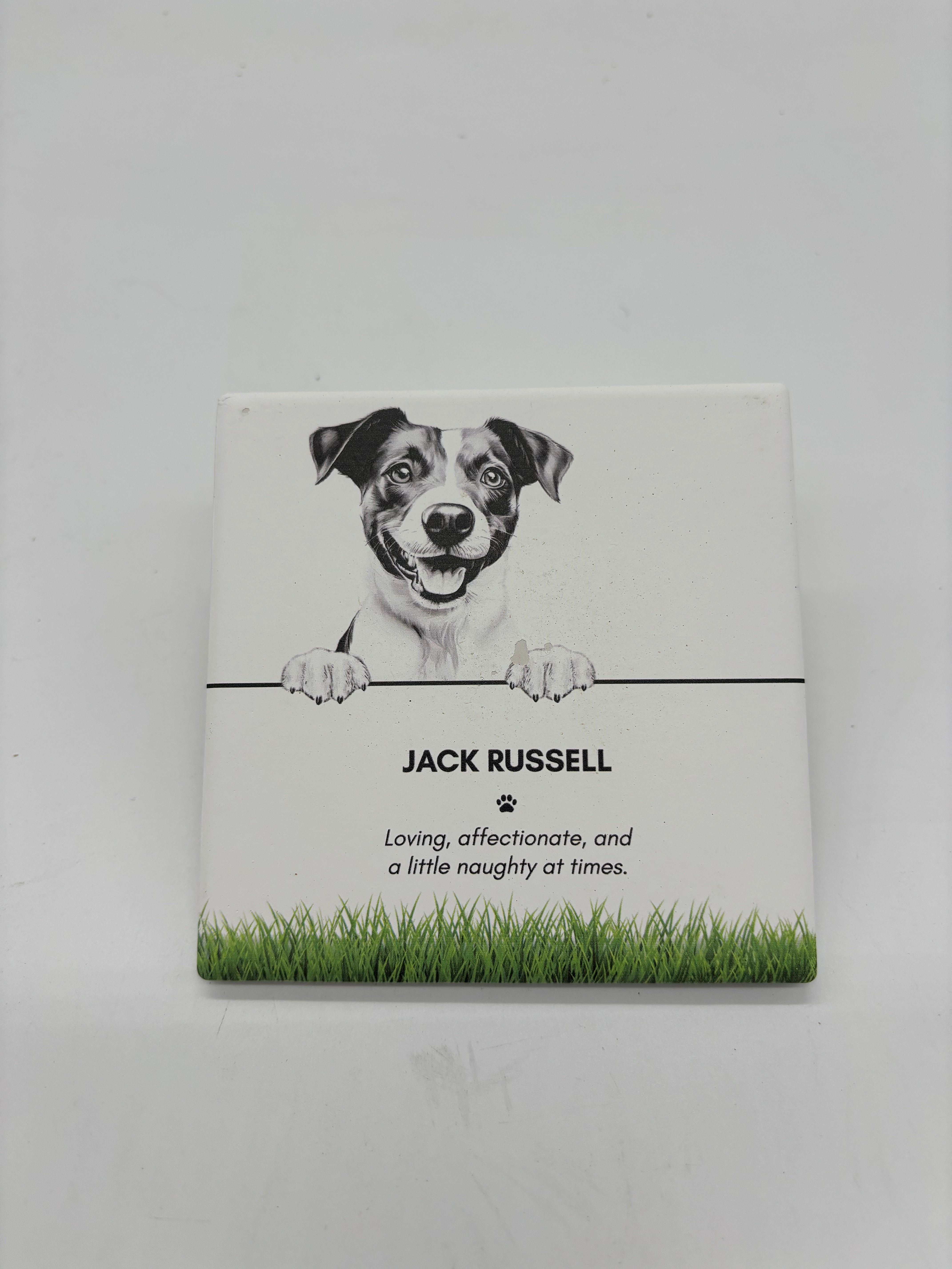 PET COASTER - Jack Russell