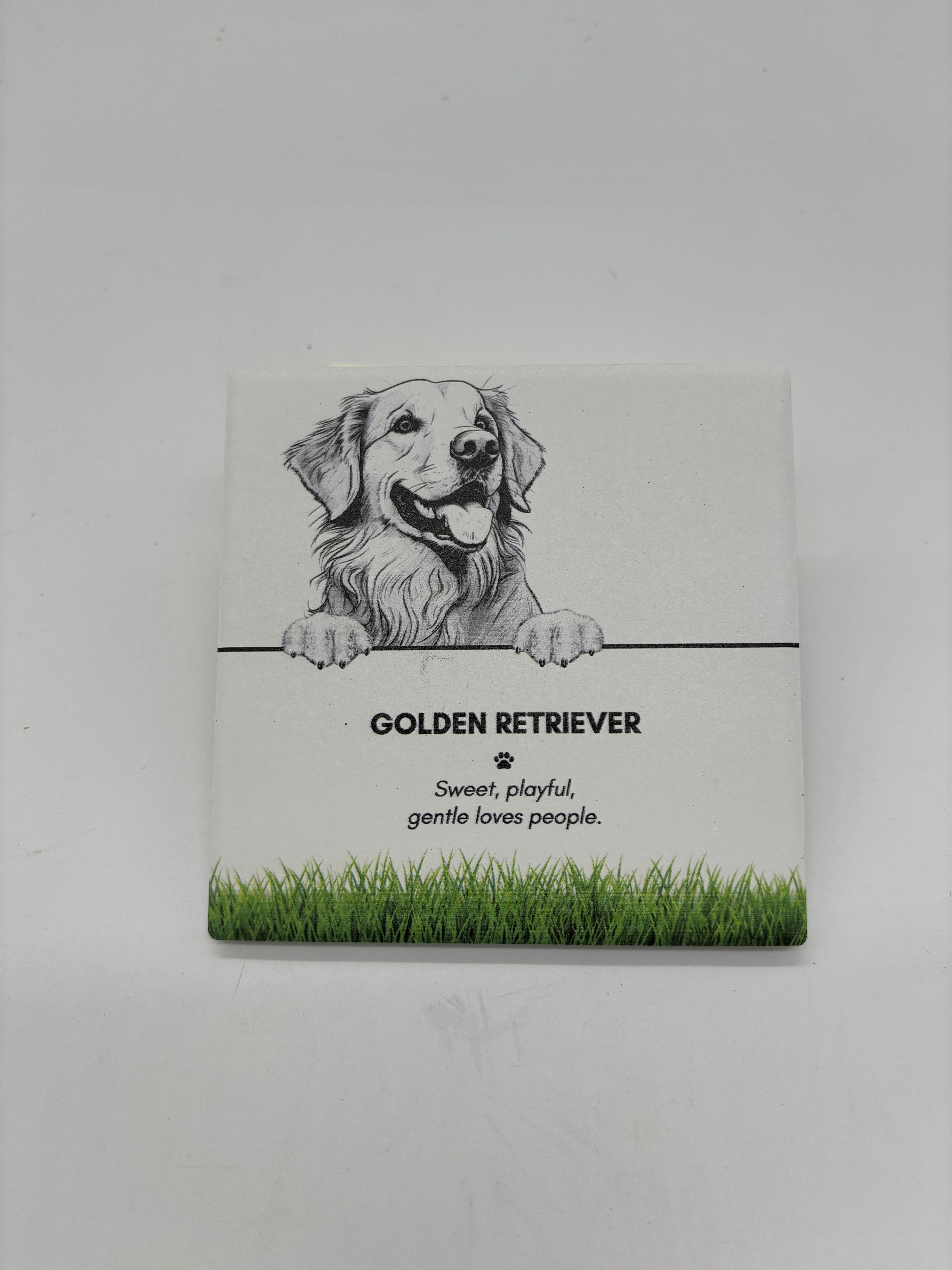 PET COASTER - Golden Retriever