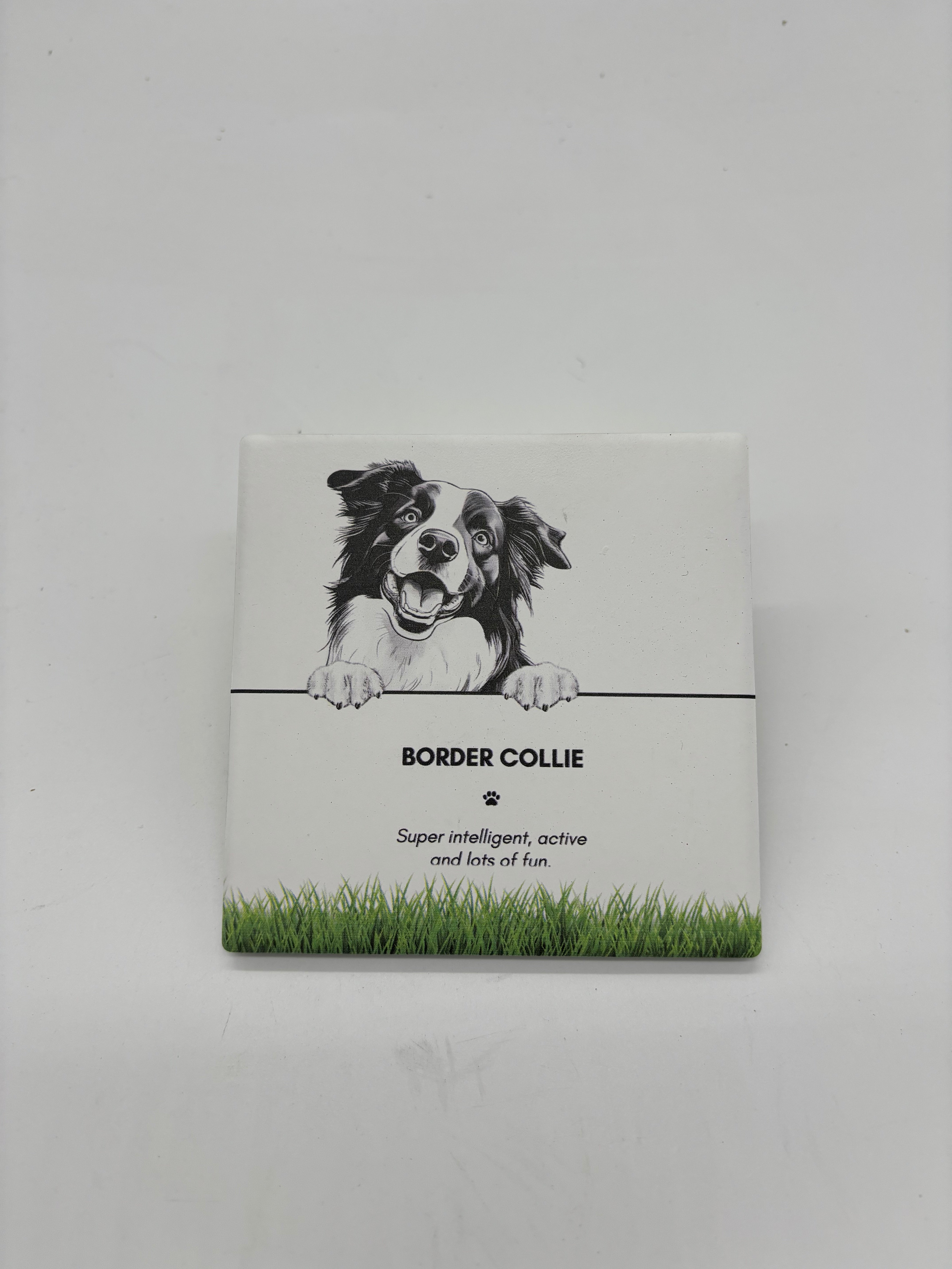 PET COASTER - Border Collie