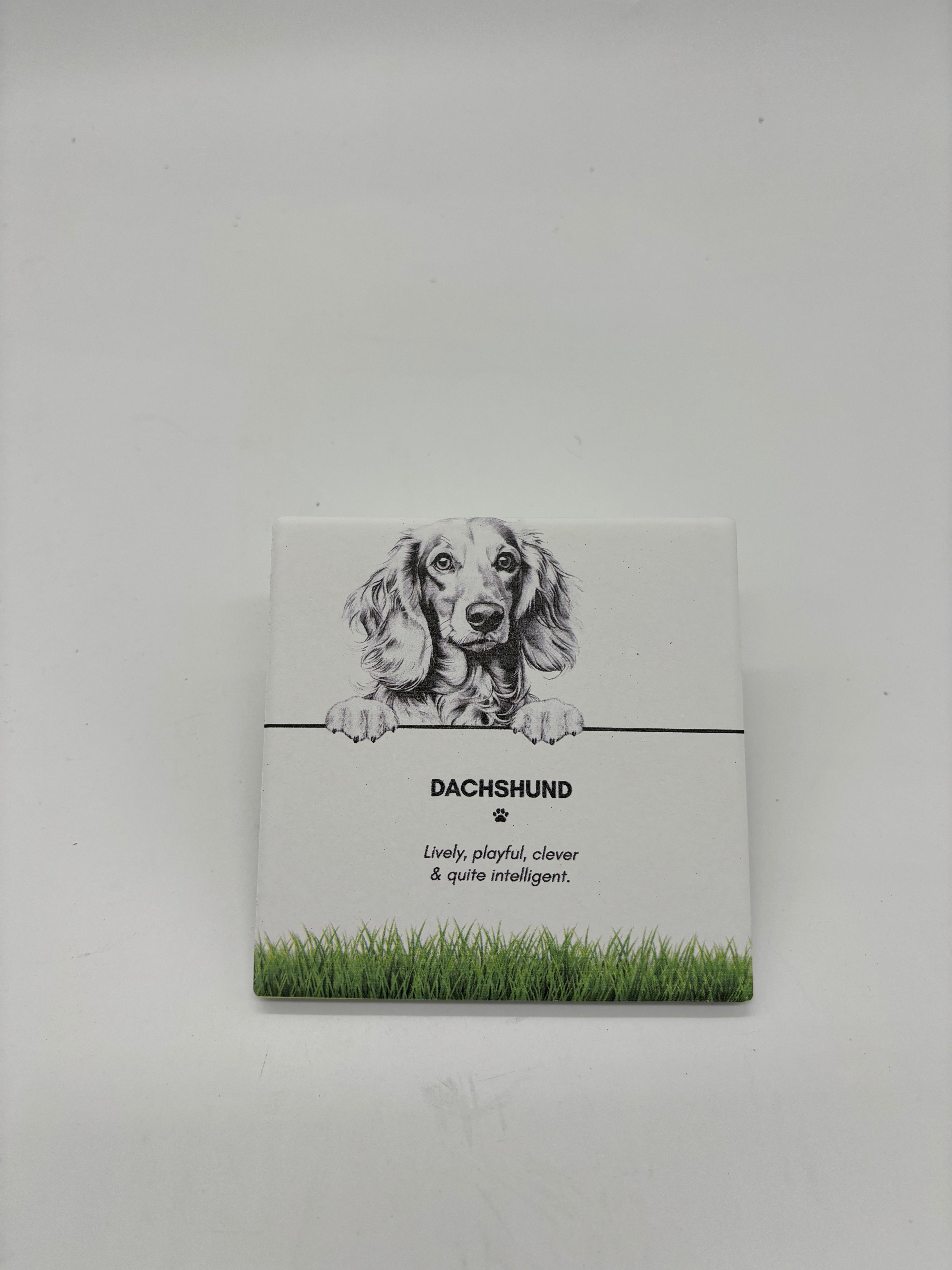 PET COASTER - Dachshund