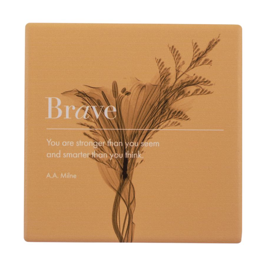 Inspirations Coaster - Brave