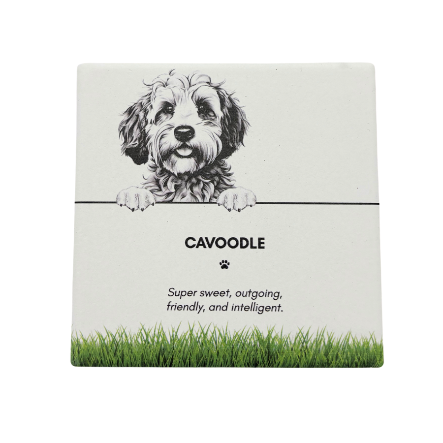 Pet Coaster - Cavoodle