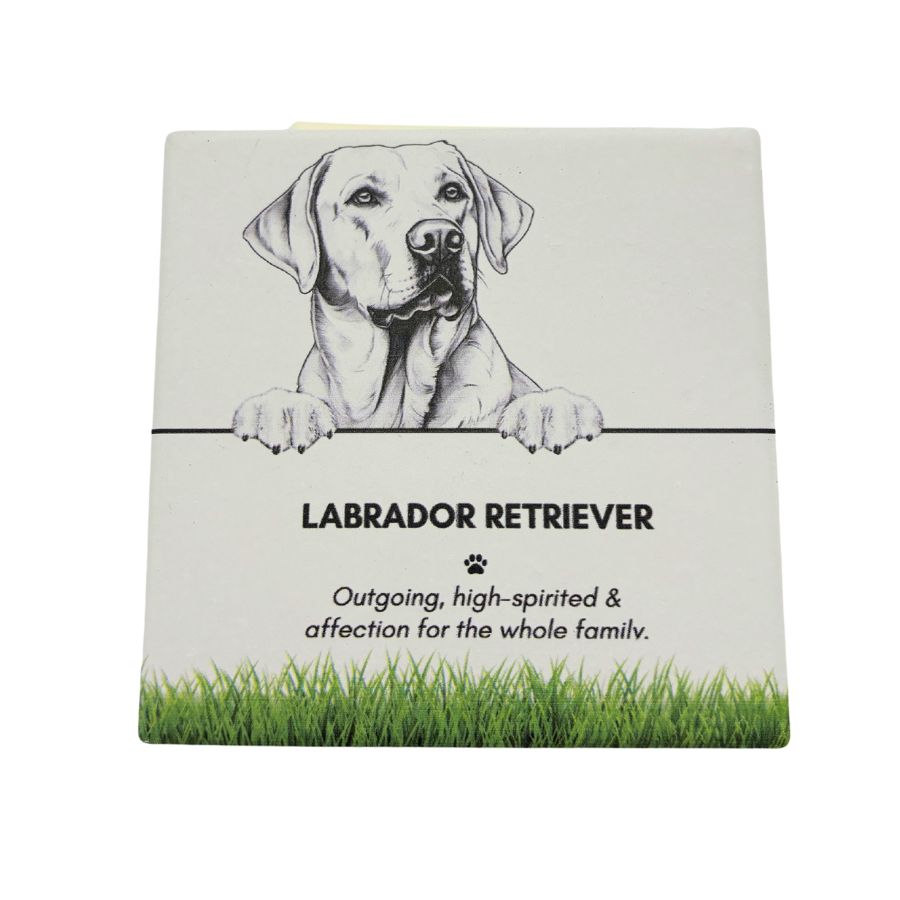 Pet Coaster - Labrador Retriever