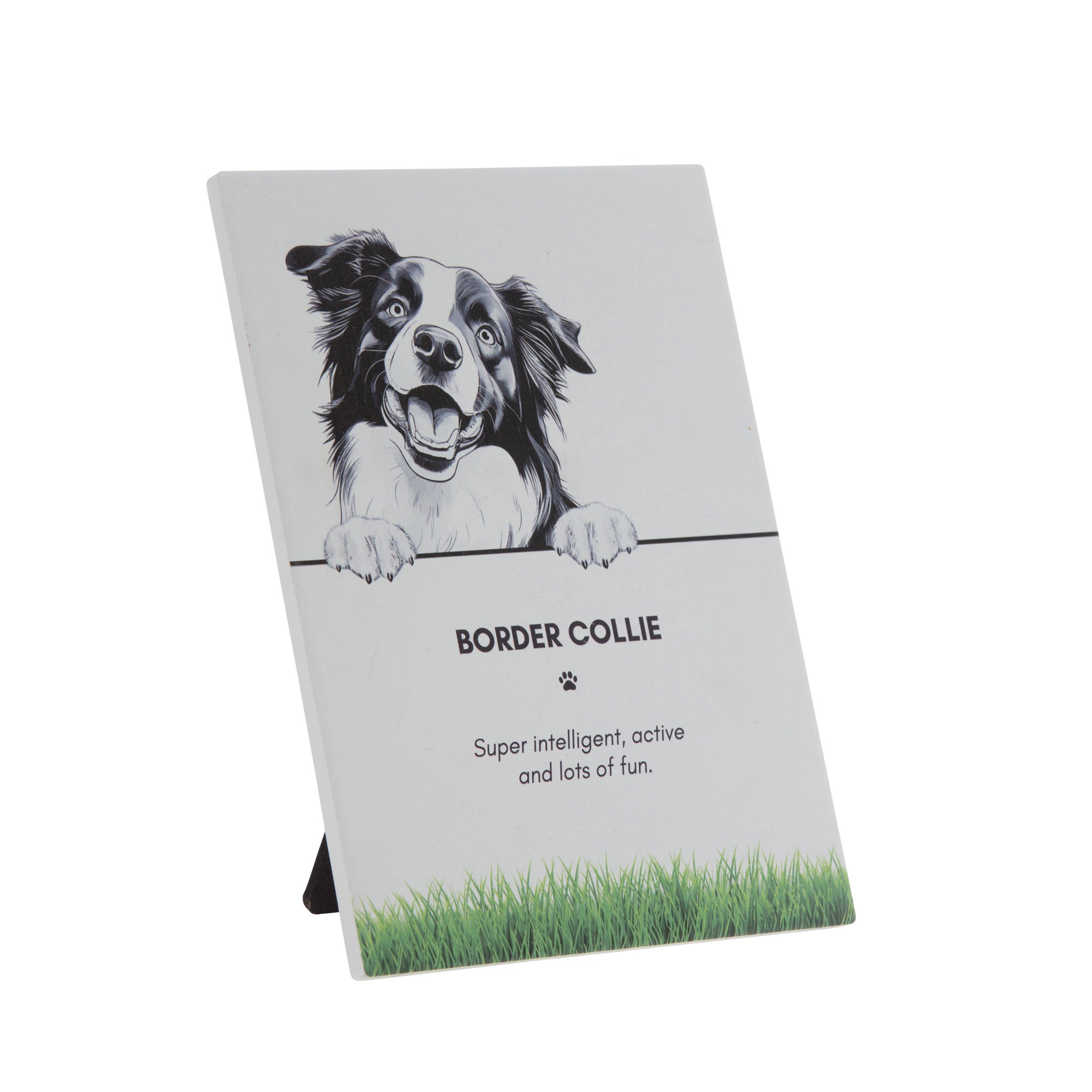 PET PLAQUE - Border Collie