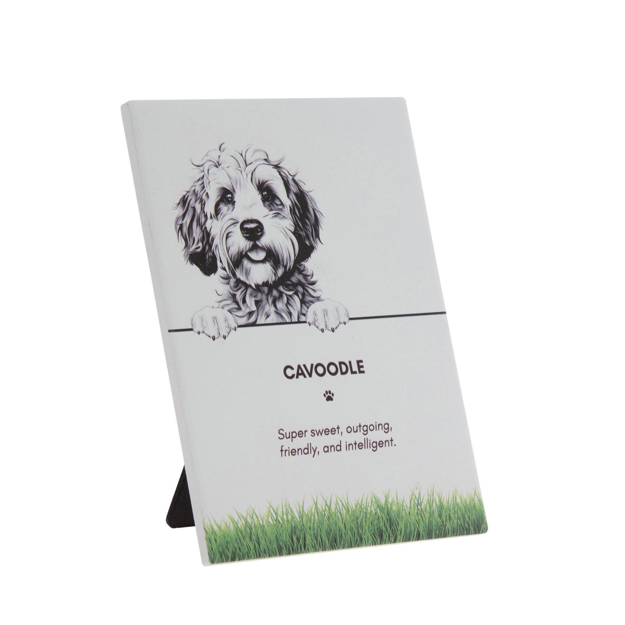 PET PLAQUE - Cavoodle