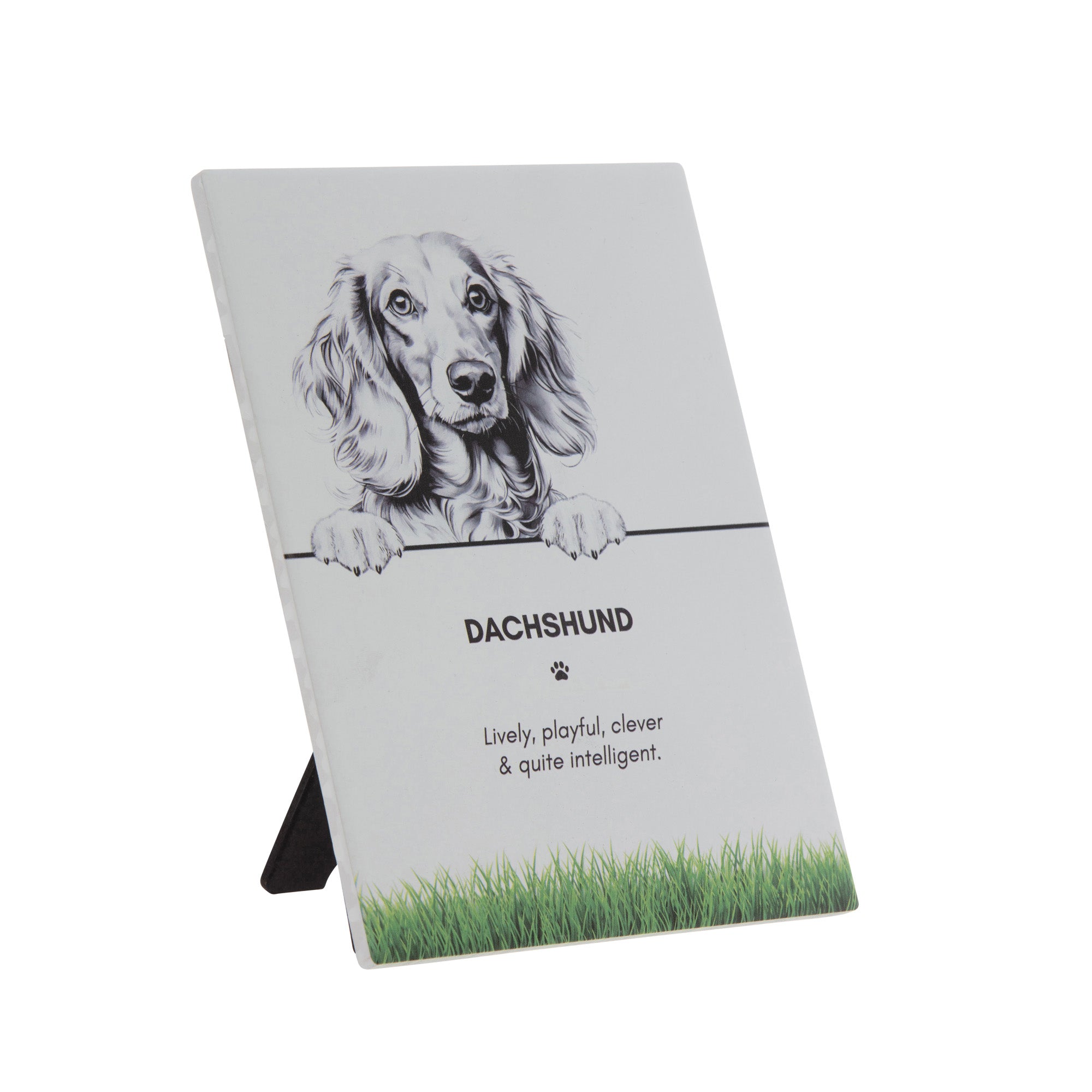 PET PLAQUE - Dachshund
