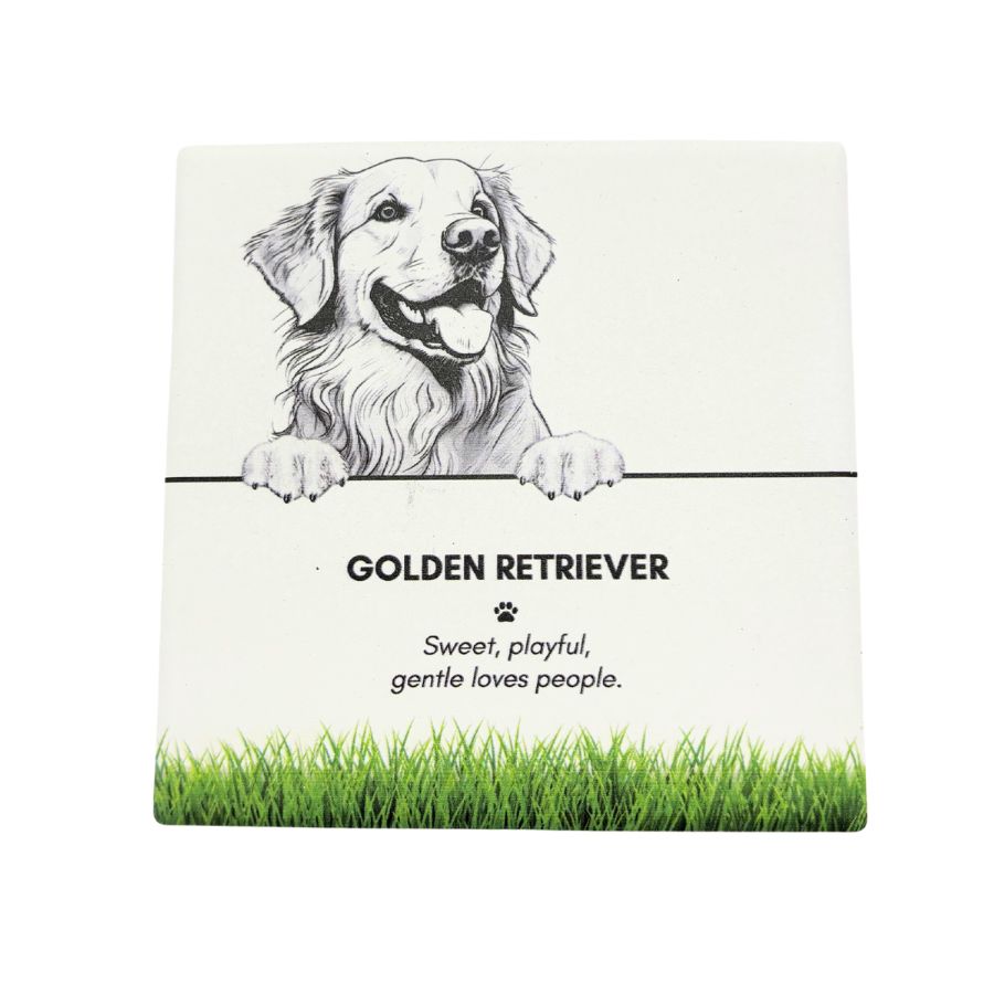 Pet Coaster - Golden Retriever