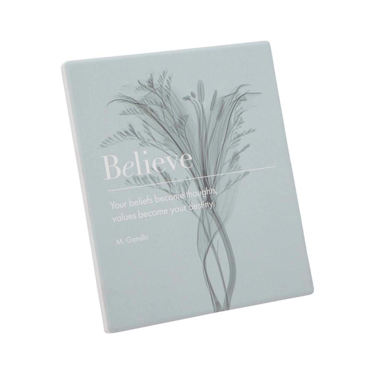 Inspirations Believe Plaque